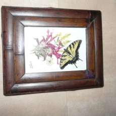 Red Beebalm and Butterfly