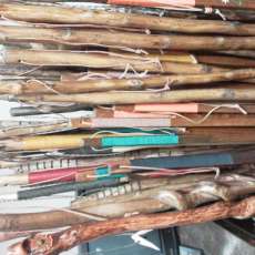 Walking Sticks, Hiking Sticks
