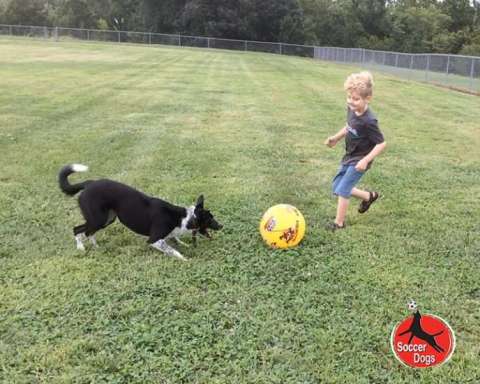 Kids and Soccer Dogs = Fun!