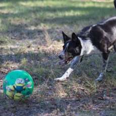 Practice Makes Perfect!