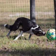 Rain Soccer Practice