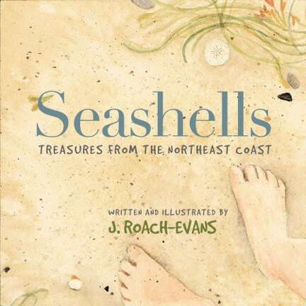 Seashells Book Cover