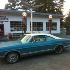 Down in the Delta Mascot