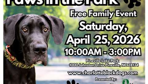 Paws in the Park 2026