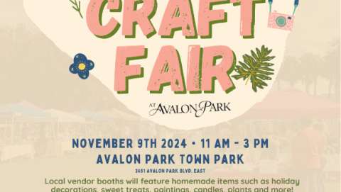 Avalon Park Craft Fair