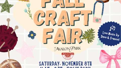 Avalon Park Craft Fair