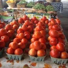 At the Farmers Market