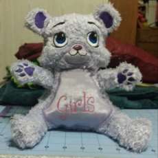 Beautiful Teddy Whose Tummy Can Be Customized