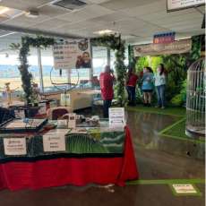 Get Photos With Parrots From 3 Different Continents!