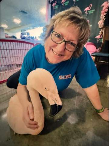 Flamingo at World Parrot Expo