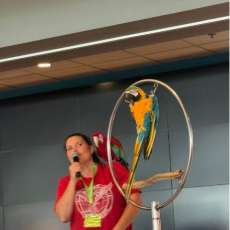 Live Parrot Show!