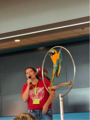 Live Parrot Show!