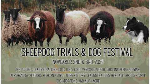 Rural Hill Sheepdog Trials and Dog Festival
