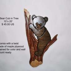 Bear Cub in Tree