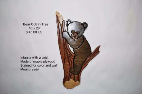 Bear Cub in Tree