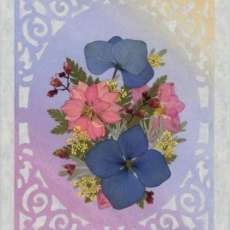 Larkspur Pressed Flower All-Occasion Card
