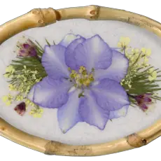 Larkspur Pressed Flower Blossom in Bamboo Frame