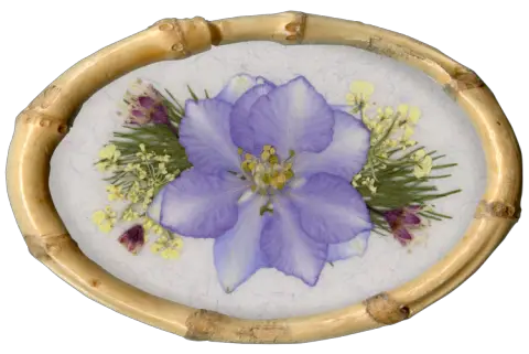 Larkspur Pressed Flower Blossom in Bamboo Frame