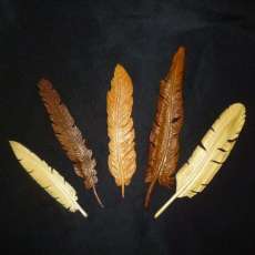 Feathers