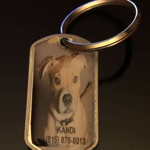 DOG TAGS