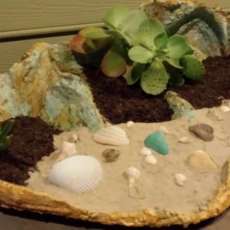 Clamity Shell Planter