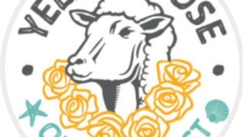 Yellow Rose Fiber on the Coast