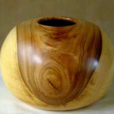 Elm Hollow Form