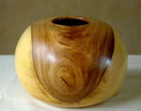 Elm Hollow Form