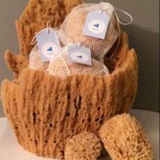 Sponge Basket
