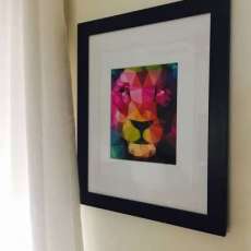 Kelly Harper Photography