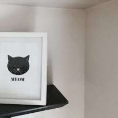 Kelly Harper Photography