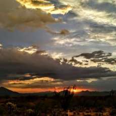 Arizona Sunset