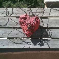 I Hear You Knocking But You Can'T Come in