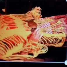 Festival Wear Over Tube Top, Cami, Turtle Neck, Swim Suit