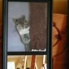 Squirrel mirror