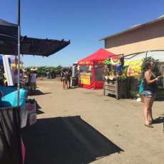 Lodi Cajun Musical Festival 6/25/16