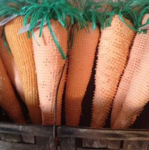 Hobnail Bedspread Carrots