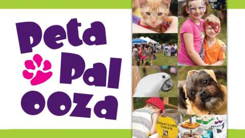 Petapalooza Pet Adoption Festival