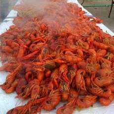 Hot Boiled Crawfish