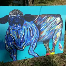 I Don'T Need Your Bull