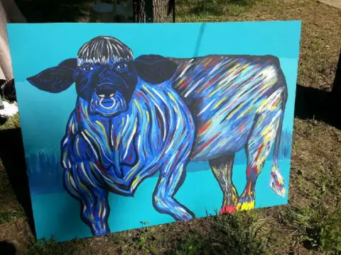 I Don'T Need Your Bull