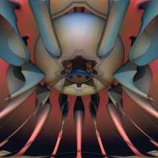 The Itsy Bitsy Spider