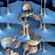 The Fortuitous Spinching