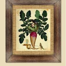 Kitchen Botanicals