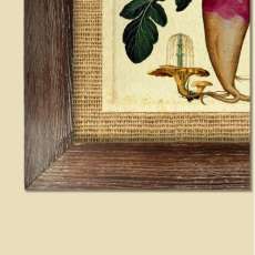 Kitchen Botanicals Detail