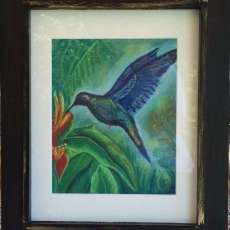Hummingbird