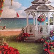 Dreaming Among the Waves