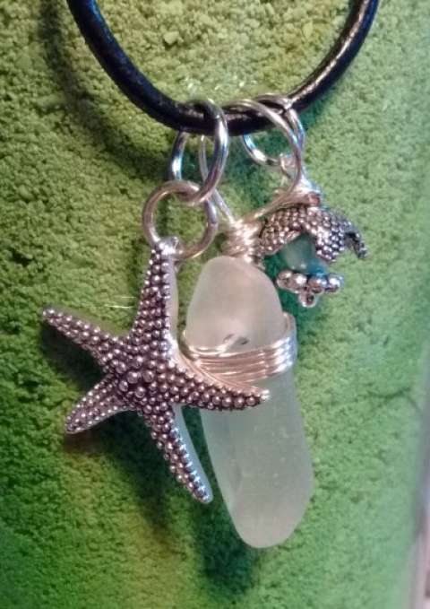 Robin Taylor Robin Taylor