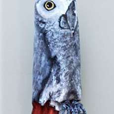Driftwood Parrot