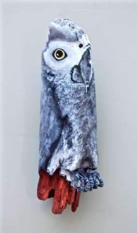 Driftwood Parrot